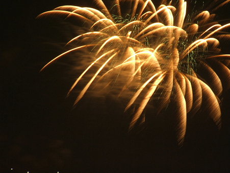 2009_08080066