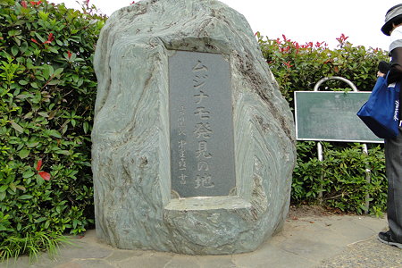 ムジナモ発見の地