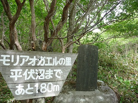 写真00017