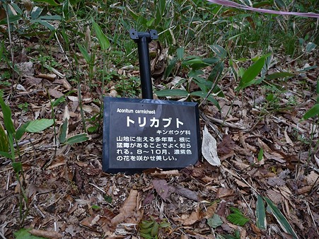 写真00031