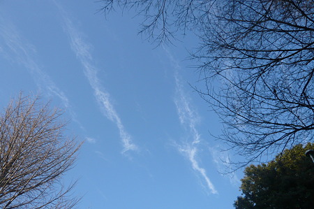 冬の空