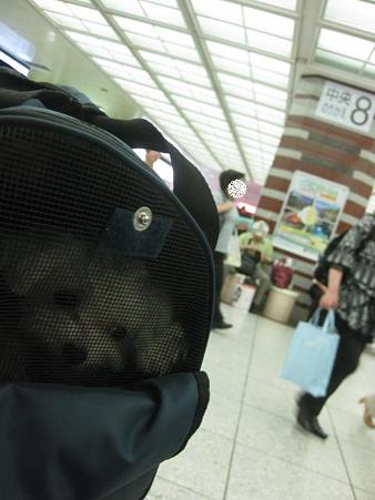 東京駅です