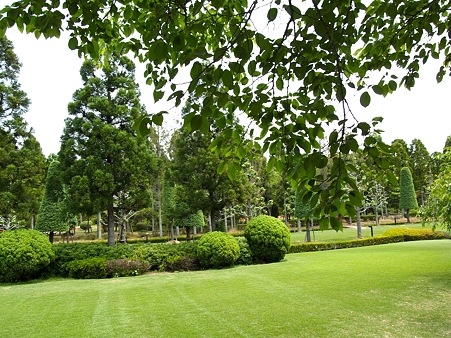 P1010172