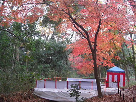 賀茂御祖神社　糺の森