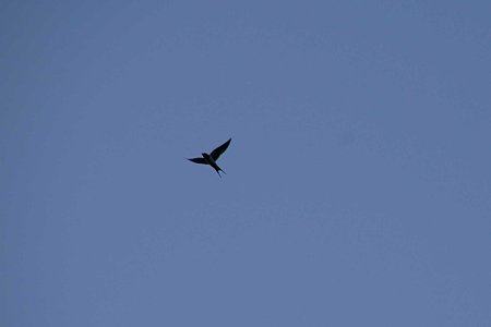 久しぶりに青空