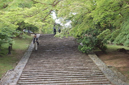東大寺 猫段