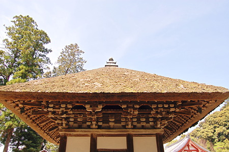 2011年04月17日_DSC_0065