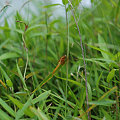 Photos: 20090531_162845