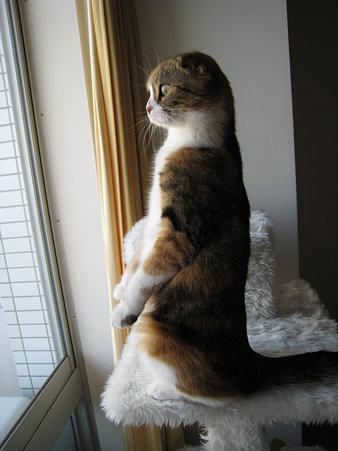 たっち