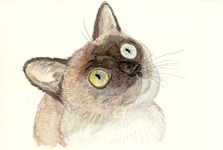 ラテ