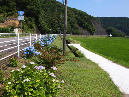 門川