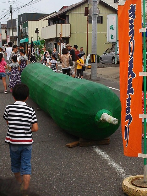 でかいきゅうり 写真共有サイト フォト蔵