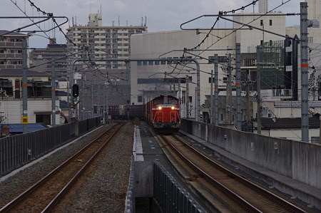 IMGP6727
