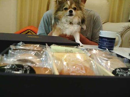 頂き物♪