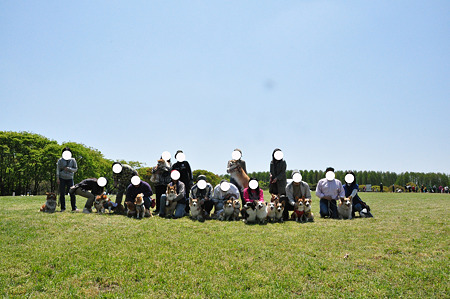 syugo2