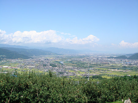 DSC07905のコピー