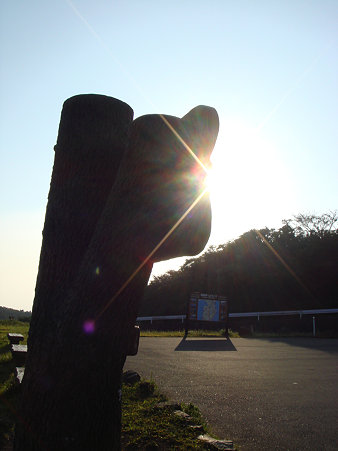 DSC07924のコピー