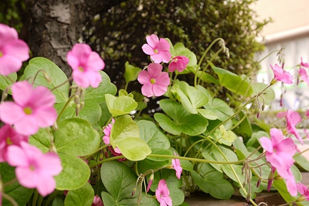 ISO100_F5_SS100_EV+0.3_WB-Cloud