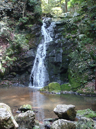 DSC02244