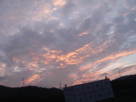 DSC02519