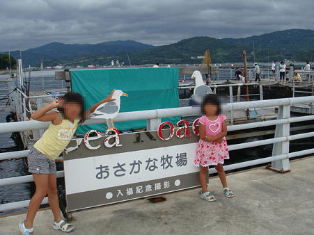 八幡浜　お魚牧場