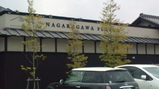 20110506120442