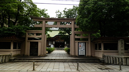 P6090524