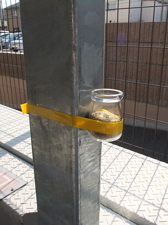 DSCF0497