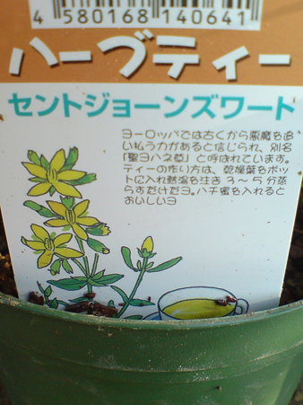 St. Johnswort