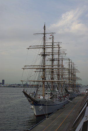 IMGP1293