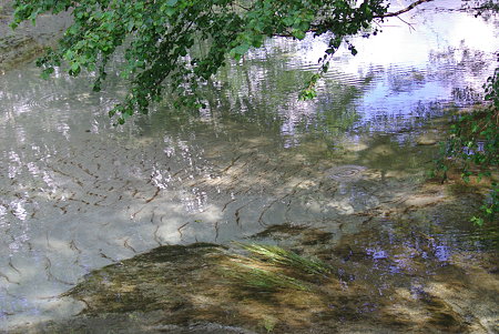 IMGP3735