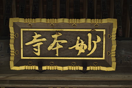 IMGP5349