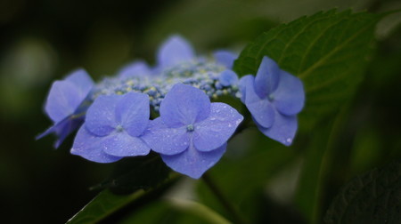 DSC01161
