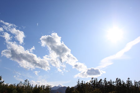 2009_10_10_0323