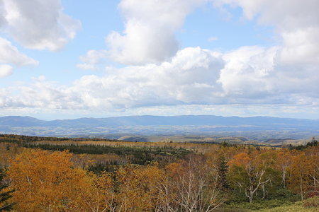 2009_10_11_0341