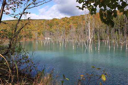 2009_10_11_0345