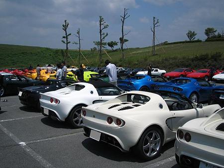 24. ELISE (White)