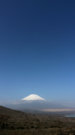 P1000920_org