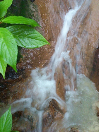 某湯