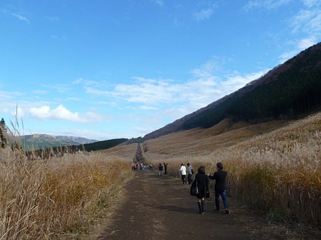 2010箱根伊豆 023