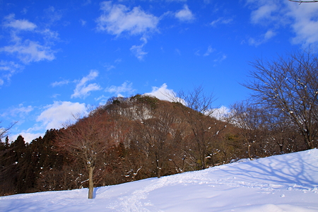 悠創の丘