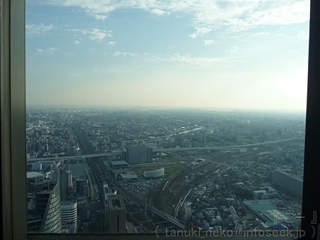 111101-ミッドランド展望台 (8)