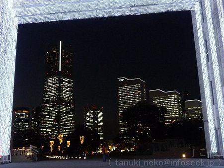 111122-ナビオス 夜景 (5)