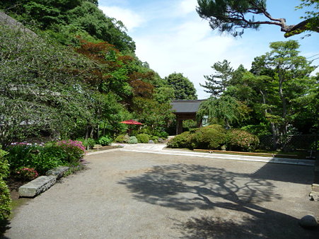 090612-海蔵寺 (13)