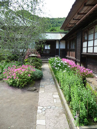 090612-海蔵寺 (10)