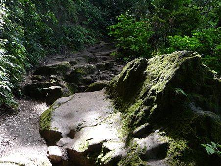 090612-化粧坂 (6)