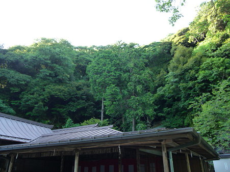 090612-銭洗弁天 (9)