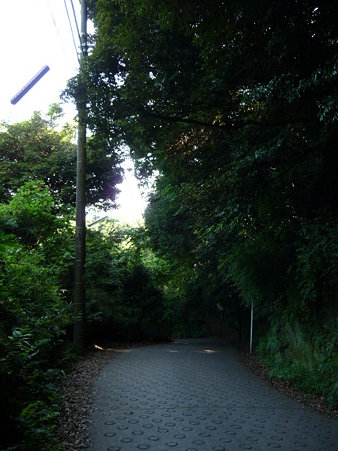 090612-通学路 (6)