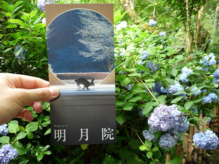 090625-明月院 (6)