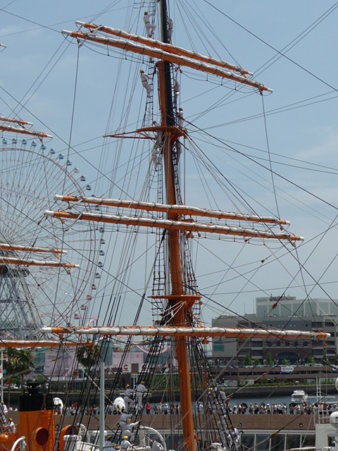 090720-日本丸 総帆展帆 (25)
